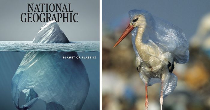 plastic crisis impact on wildlife national geographic june issue cover fb11 700 png