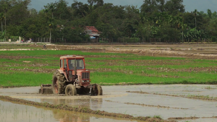 tractor is leveling a ground with water slowly on the agricultural land in summer sunny day sla4h6r3 thumbnail full01
