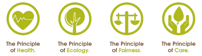 principles icons