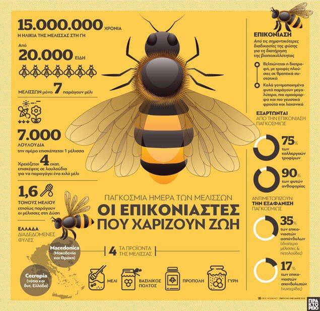 infografic bees