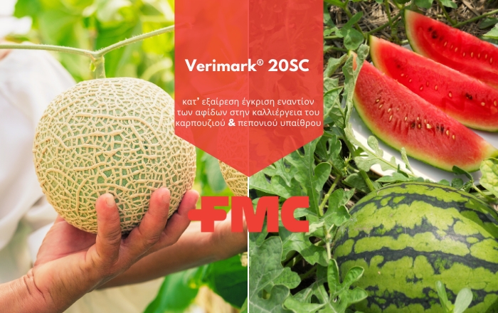 Verimark® 20SC | κατ’ εξαίρεση έγκριση εναντίον των αφίδων στις καλλιέργειες καρπουζιού &amp; του πεπονιού υπαίθρου