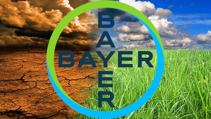 Η Bayer σε κορυφαία θέση στον τομέα των δράσεων βιωσιμότητας για το κλίμα, έπειτα από αξιολόγηση της CDP