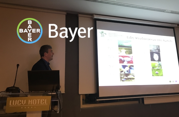Η Bayer και το Μπενάκειο Φυτοπαθολογικό Ινστιτούτο (Μ.Φ.Ι.) ενημερώνουν για τον ψευδόκοκκο του αμπελιού