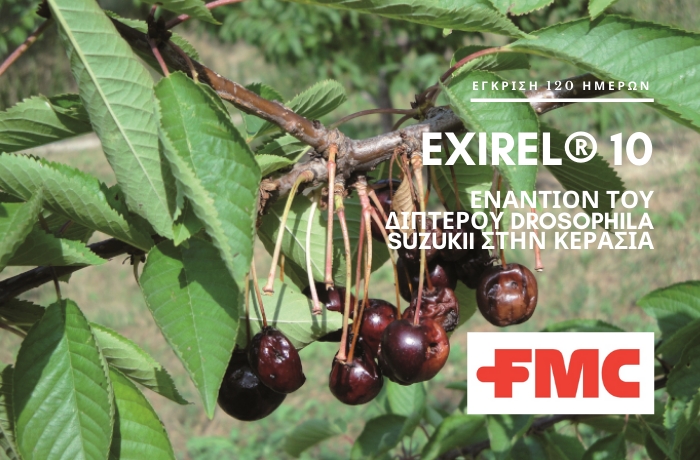 Exirel® 10SE κατ’ εξαίρεση έγκριση εναντίον του διπτέρου Drosophila suzukii στην κερασιά