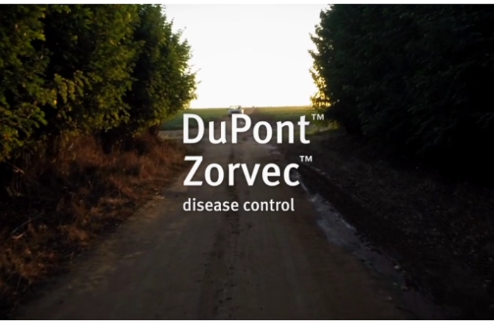 Η Ευρωπαϊκή Επιτροπή εγκρίνει τη μυκητοκτόνο ουσία DuPont™ Zorvec®