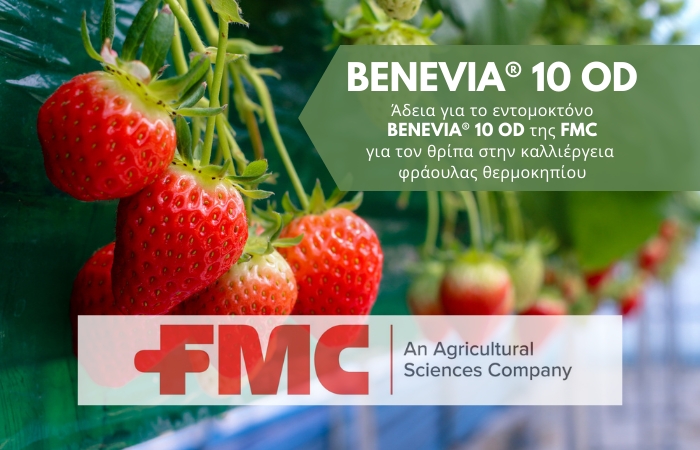 Άδεια για το εντομοκτόνο BENEVIA® 10 OD της FMC για τον θρίπα στην καλλιέργεια φράουλας θερμοκηπίου