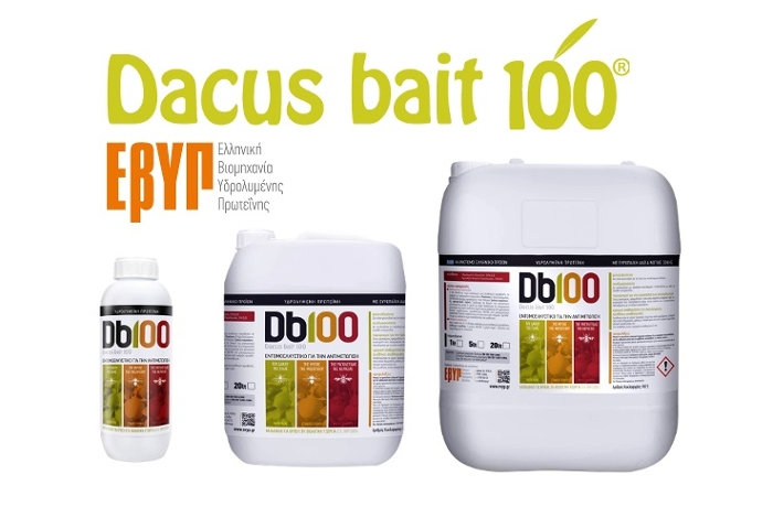 Dacus Bait 100® : Οικολογική &amp; αποτελεσματική αντιμετώπιση Δάκου, Μύγας Μεσογείου και Ραγολέτιδας