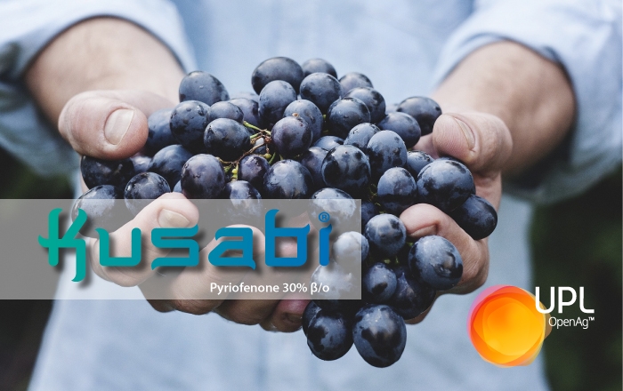 Kusabi – Το νέο όπλο εναντίον του Ωιδίου στο αμπέλι