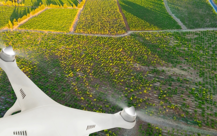 Ο ρόλος των drones σε ένα χωράφι