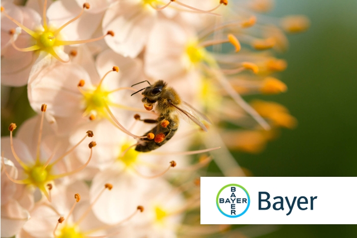 Ευρήματα έρευνας βελτιώνουν την ικανότητα της Bayer να αναπτύσσει νέα εκλεκτικά εντομοκτόνα