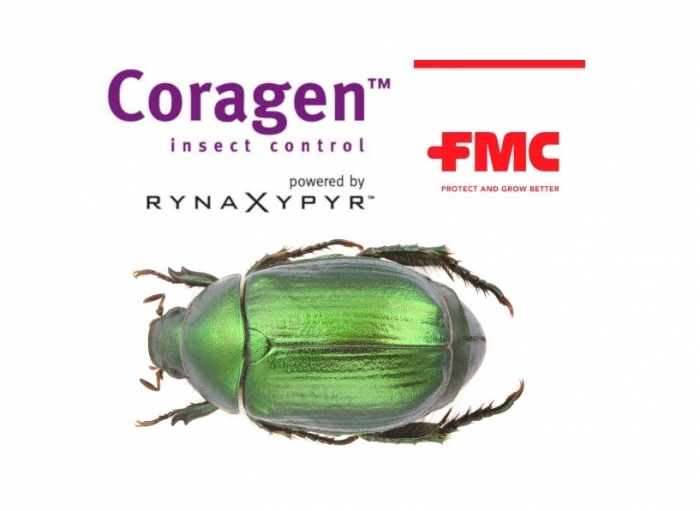 Το Coragen® 20SC της FMC διευρύνει τις χρήσεις του και κατά του χρυσοκάνθαρου