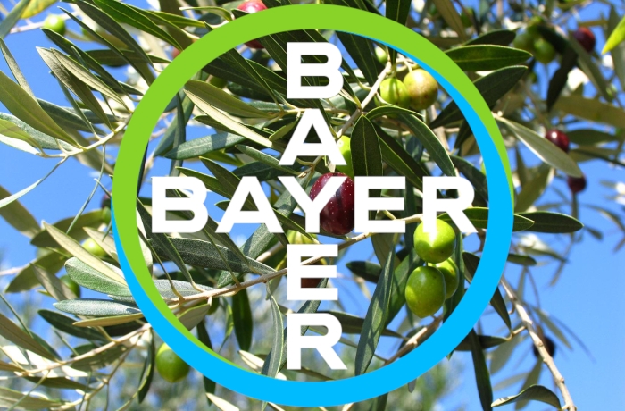 Η Bayer χορηγός σε Ημερίδα για την ελιά με θέμα: «Επίκαιρα προβλήματα και λύσεις στην ελαιοκαλλιέργεια»