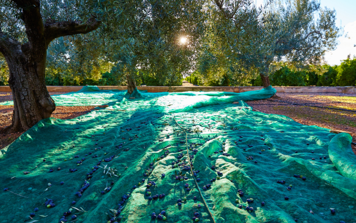 COVER ΑΡΘΡΩΝ BLOG 2023 11 29T154845.389