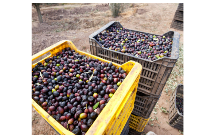 COVER ΑΡΘΡΩΝ BLOG 2023 11 29T154951.448