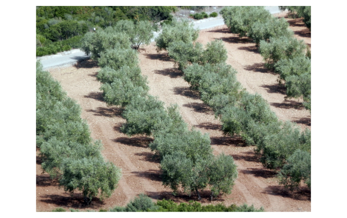 COVER ΑΡΘΡΩΝ BLOG 2023 11 29T155939.617