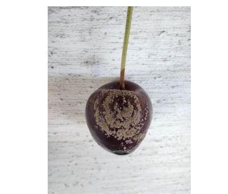 Στιγμιότυπο οθόνης 2023 03 27 121737