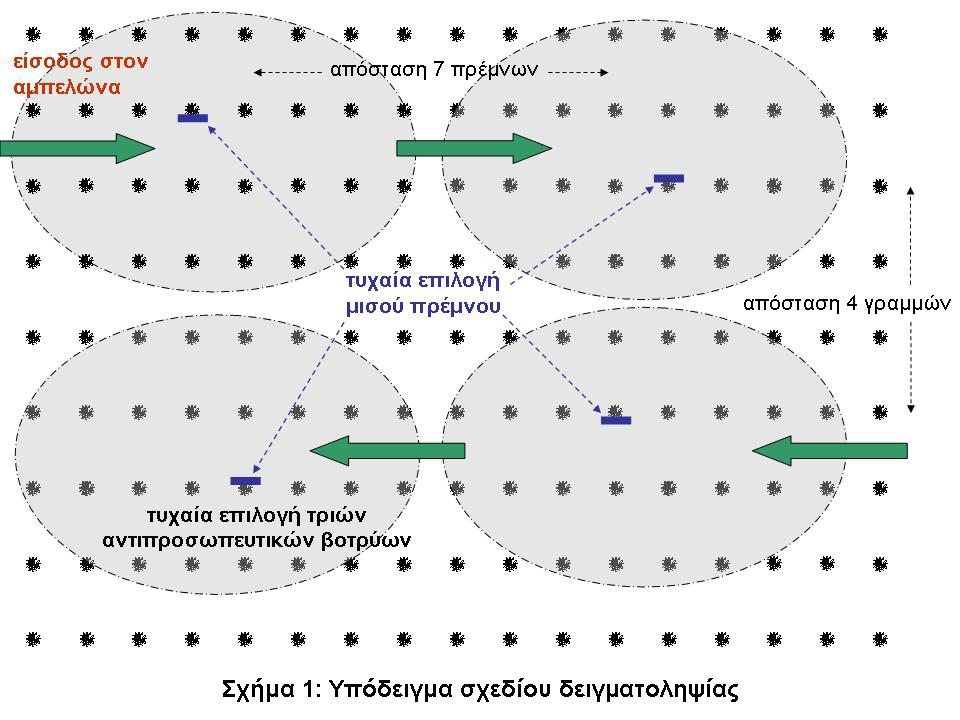 ypodeigma sxedioy deigmatoleipsias ampeli