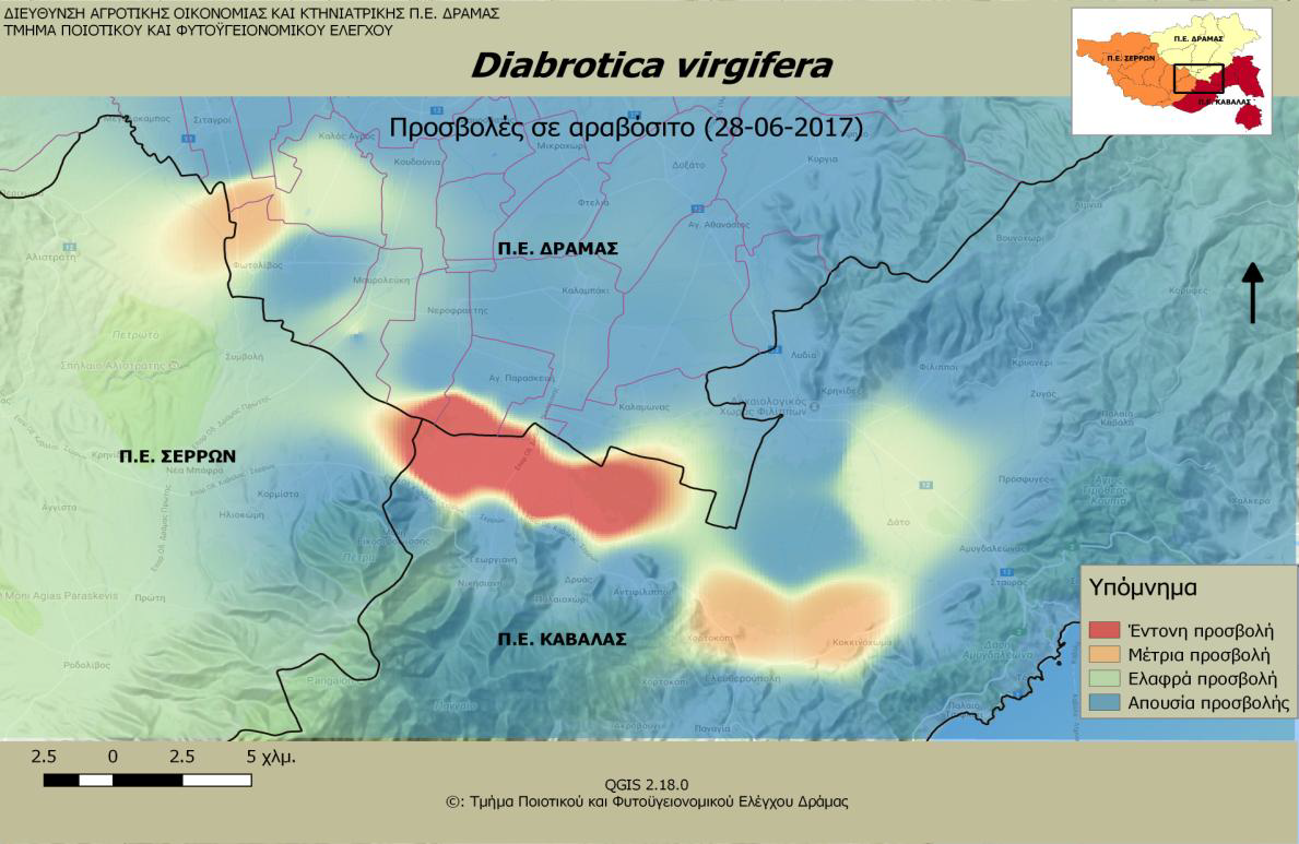 diabrotica map