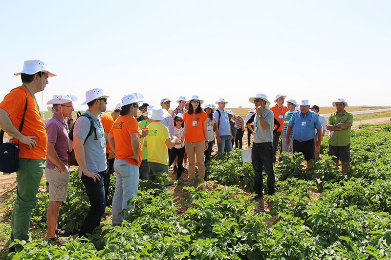 haifa agritech1