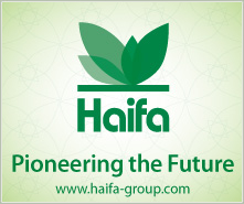 haifa banner