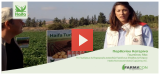 imagevideo haifa