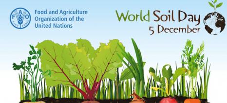 world soil day poster
