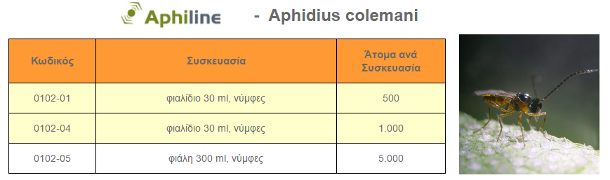 aphiline aphidius