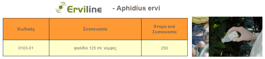 erviline aphidius