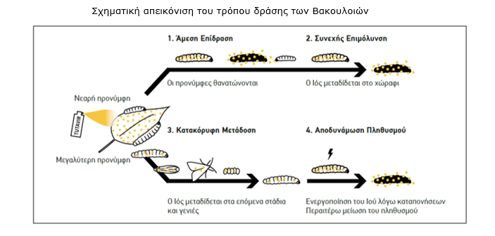bio entomoktona