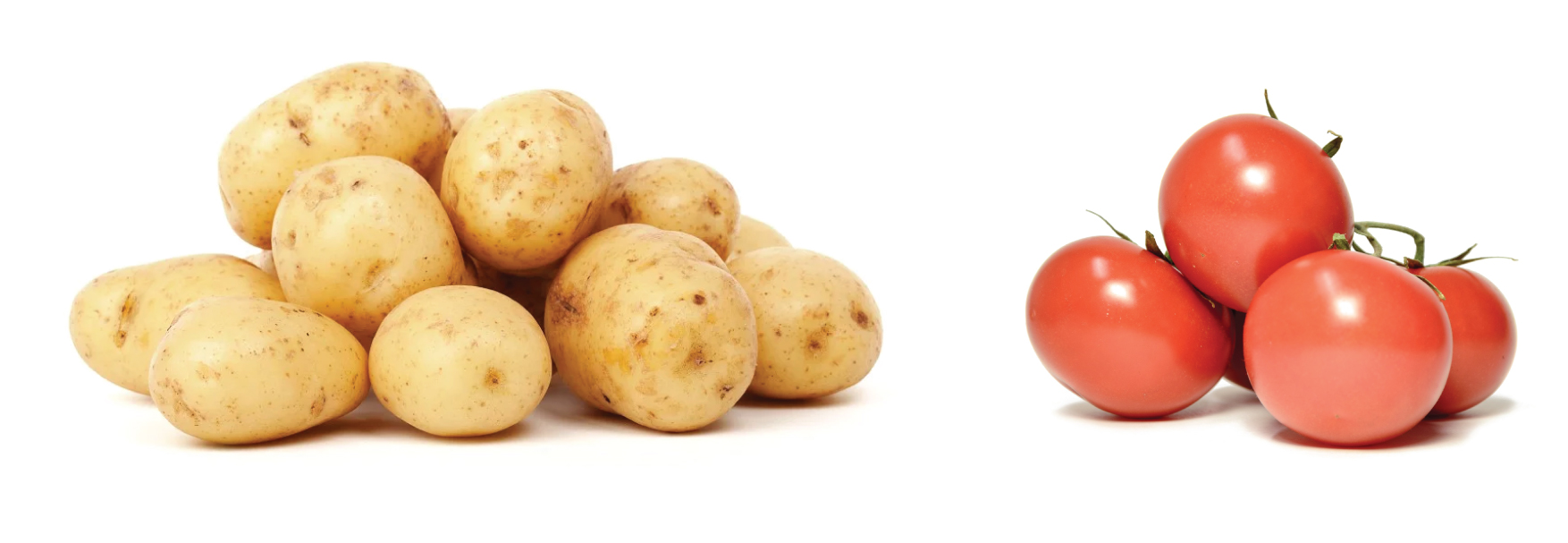 potato tomato PROXANIL DUO