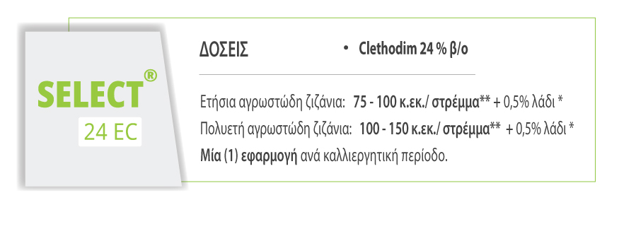 SELECT 24 EC ΔΟΣΕΙΣ