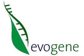 evogene logo big