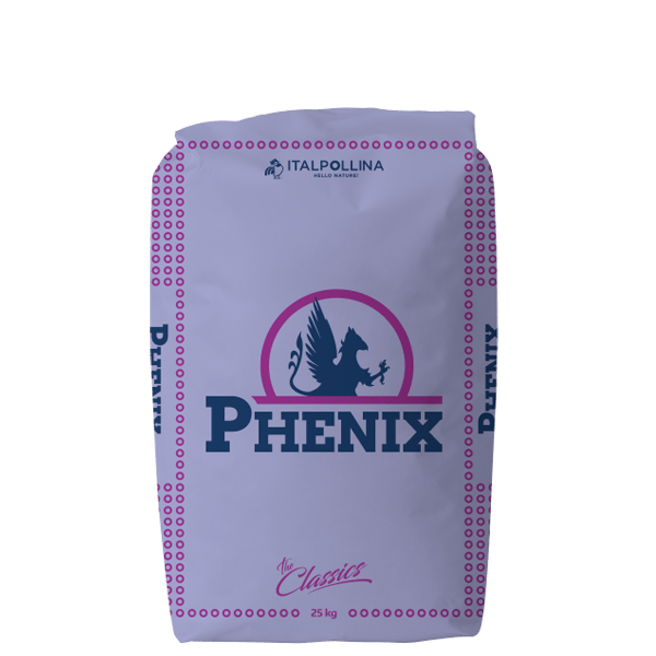 phenix 01