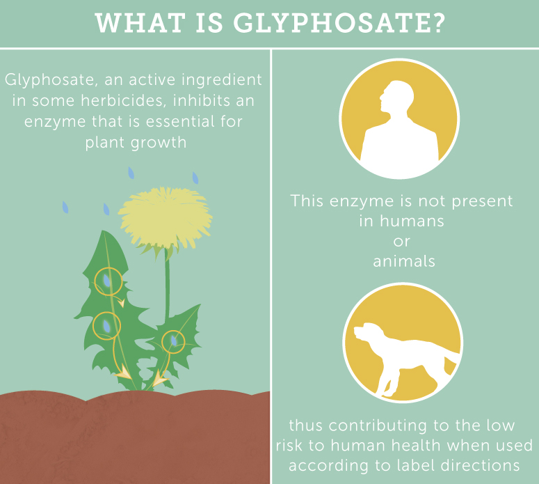 what is glyphosate