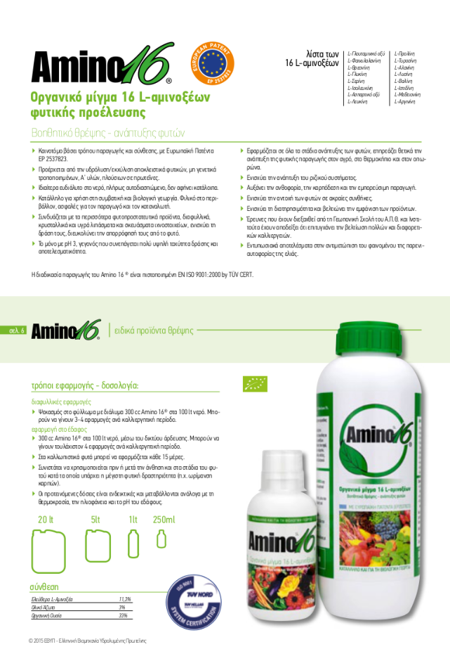 amino pdf photo