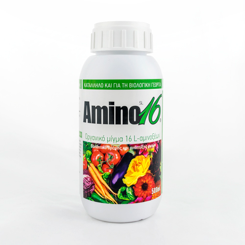 amino16 1