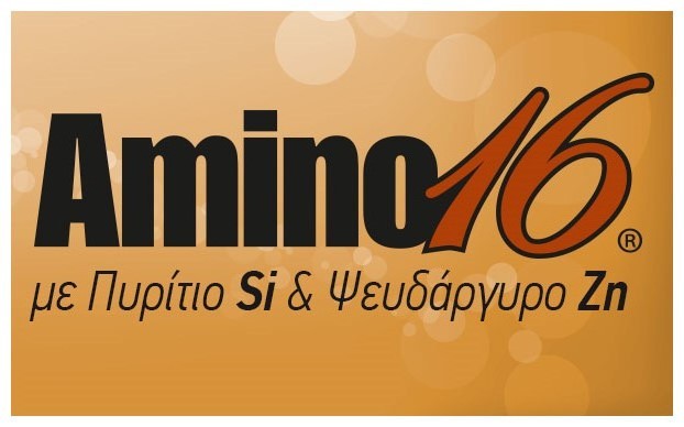 Amino16 SiZn logo 622x388