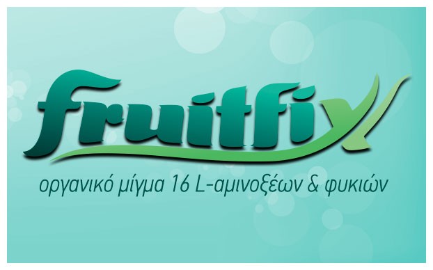 Fruitfix logo 622x388