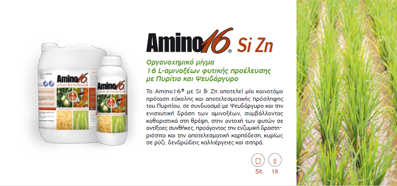 amino16 Si Zn
