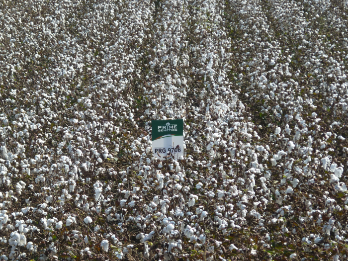 PRG 9706 SERRES 1