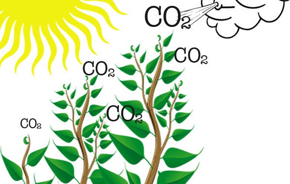 Fertile Earth CO2