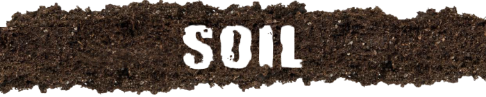 soiltype3