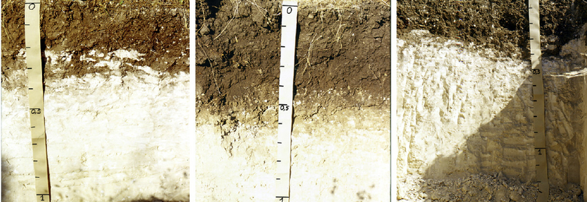 Fig 2 The soils composing the Calcic Kastanozems transect in the test area Transect