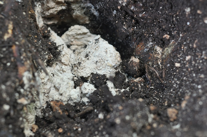 calcic deposits