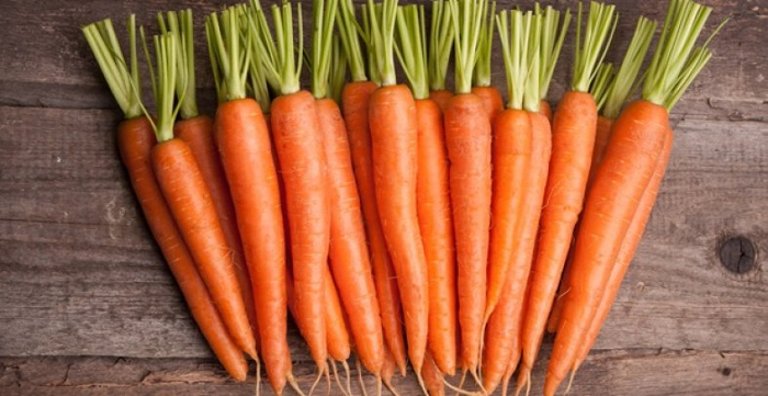 carrot3