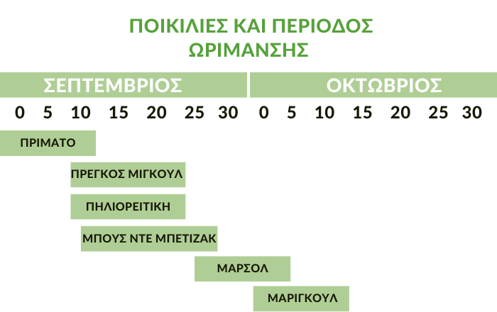 poikilies kai periodos orimansis kastanias