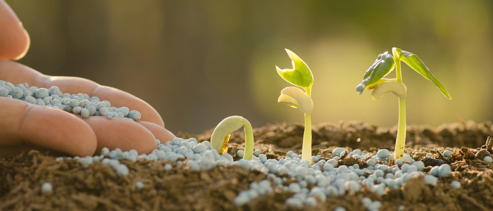 soil fertilizer the 3 types of fertilizer that will transform your garden