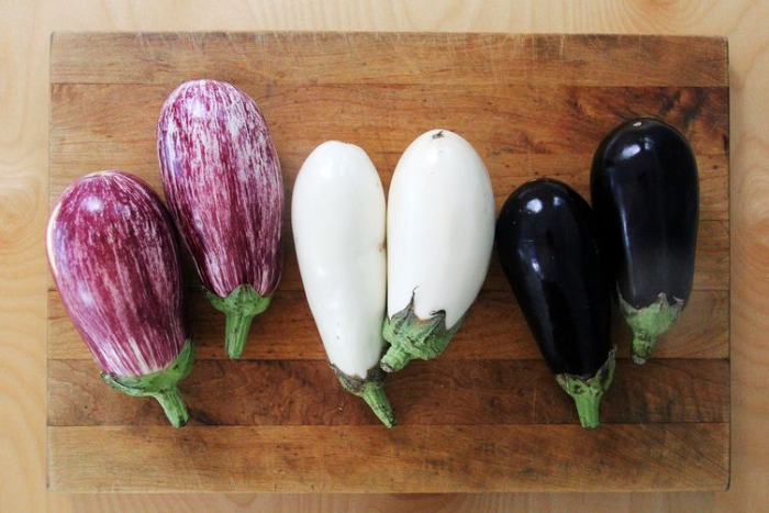 eggplant5