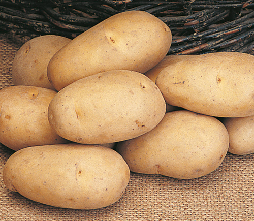 potato 2