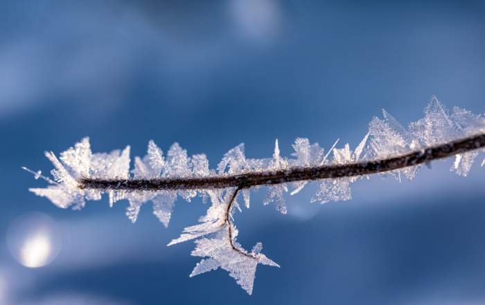 COVER ΑΡΘΡΩΝ BLOG 2024 01 24T113717.166